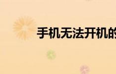 手机无法开机的原因及解决方法