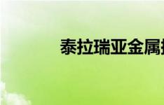 泰拉瑞亚金属探测器获取攻略