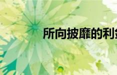 所向披靡的利剑：我在你身边