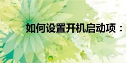如何设置开机启动项：步骤与教程