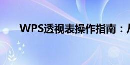 WPS透视表操作指南：从入门到精通